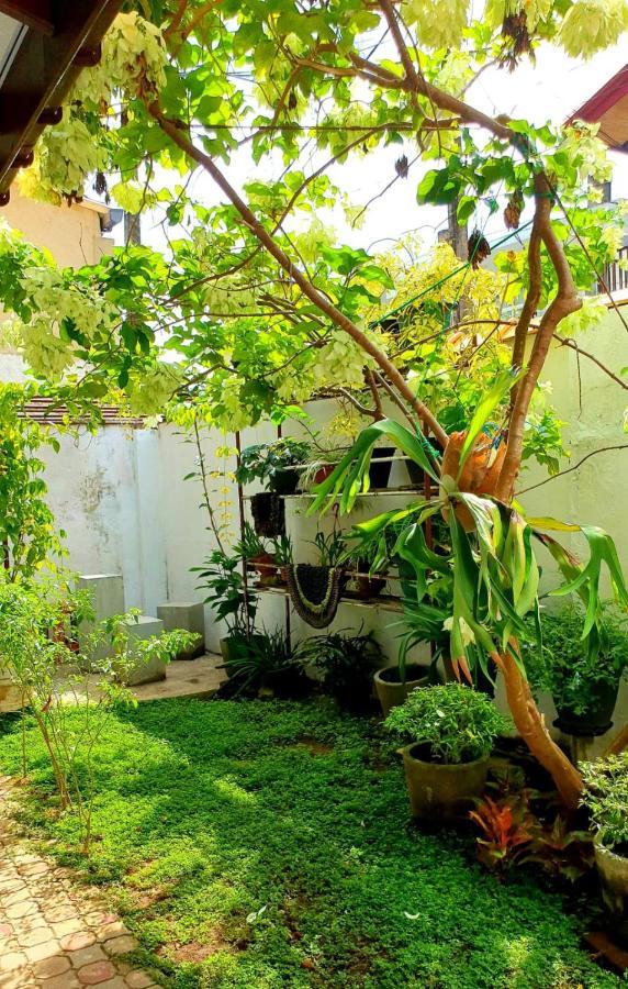 Guesthouse Kind And Love Hikkaduwa Extérieur photo